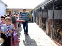 Minik izciler hayvan barınağını gezdi