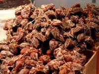 Bursa'daki fuarın gözdesi Karadeniz hurması