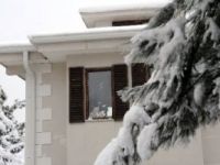 Kediler, sıcak villalarında kar manzarasını tadını çıkartıyor