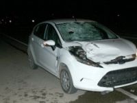 Karayolunda feci ölüm