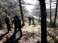 Bursa, Bilecik, Yalova ormanlarına 60 kilometre yeni yol yapılacak