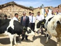 Orman köylülerini kalkındırmak için verilen kredi oranı artırıldı