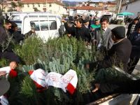 Orman köylülerine ürün veren 5 bin fidan dağıtıldı