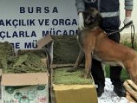 Nefes kesen operasyonda 57 kilo esrar yakalandı