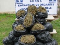 Yastıklara gizlenen 63 kilogram esrar ele geçirildi