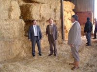 İtalya'dan gelen saman üreticilere dağıtıldı