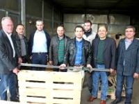 Türkiye'deki ağaçları incelediler