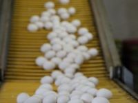 Afyonlu yumurtacılar 200 milyon dolarlık ihracat hedefliyor