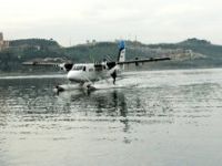 Deniz kuşu Gemlik'ten havalandı