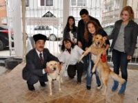 Eskişehir’de Çapa Ortopedi iki köpeği yeniden hayata tutundurdu