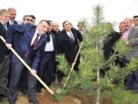 Hamamlıkızık köyüne 210 adet fidan dikildi.