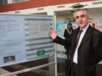 Isırgan otu artık yakmayıp ısıtacak