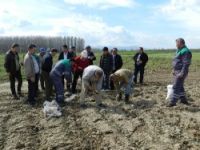 Kırgızistan heyeti Mustafakemalpaşa'da ormancılıkla ilgili incelemede bulundu