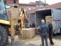 Orhaneli'nde 40 ton ithal saman besicilere dağıtıldı