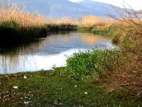 Belediye, durgun su birikintilerini temizliyor