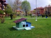 Sokak kedileri ‘yuva’larına kavuştu