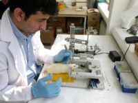 Genetiği değiştirilmiş fare ile Alzheimer hastalığına çare aranacak