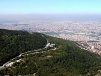 Bursa’nın yüzde 45’i orman