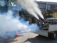 Orhaneli’nde ilaçlama çalışmaları başladı