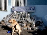 Afyonkarahisar’da 165 kilogram esrar maddesi ele geçirildi