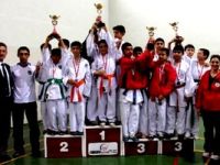 Karatecilerden 25 madalya