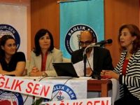 Sağlık-Sen Eskişehir Şubesi "ergoterapi çözümleri" konulu panel düzenledi