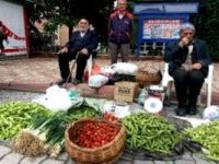 Uludağ çileği tezgahdaki yerini aldı