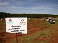 Türk Dünyası’nın çocukları ‘Kardeşlik Ormanı’ kurdu