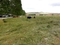 Mera ıslah projesi köylünün girdi maliyetini yüzde 30 düşürdü