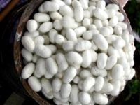 Tarihi Koza Han, koza üretimine geri dönecek