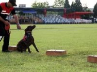 Jandarmanın, 174. kuruluş yıl dönümü kutlanıyor