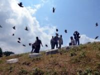 Kınalı keklikler doğaya salındı