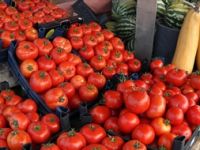 Serada ürün azaldı, domates yeniden tırmanışa geçti