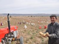 Afyonkarahisar dondurulmuş patates satacak